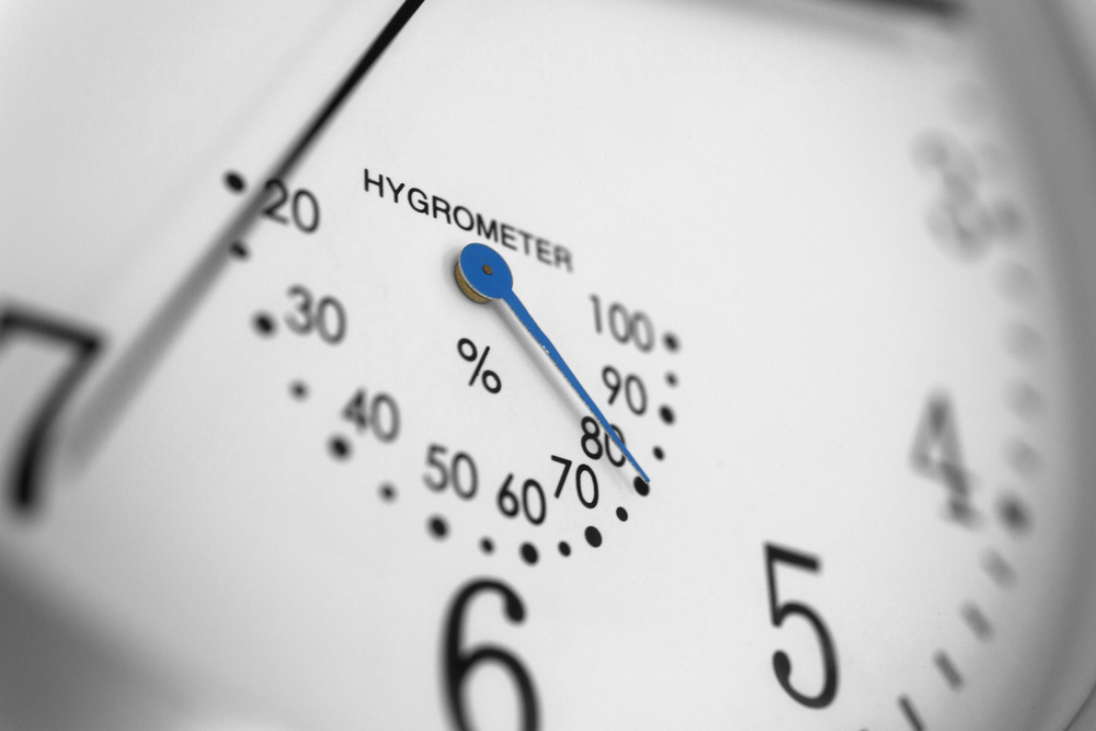 Clock face detail with built in temperature gauge